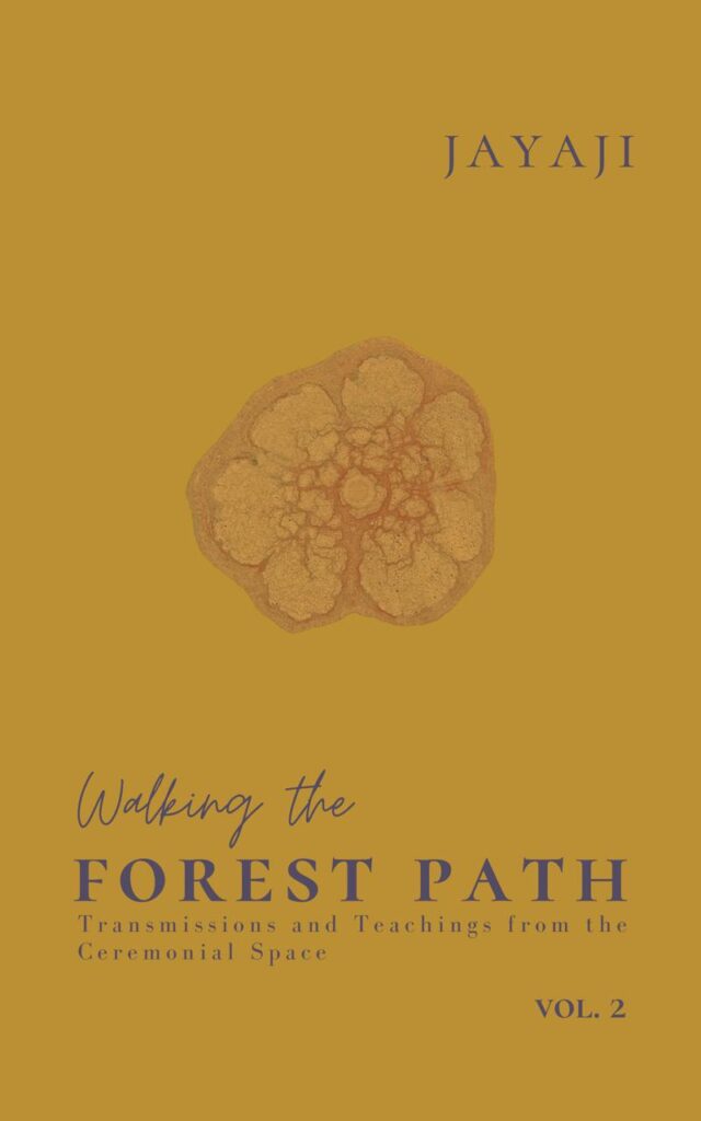 The programs featured image